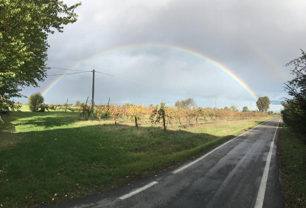 Agriturismo SetteLune photo 3