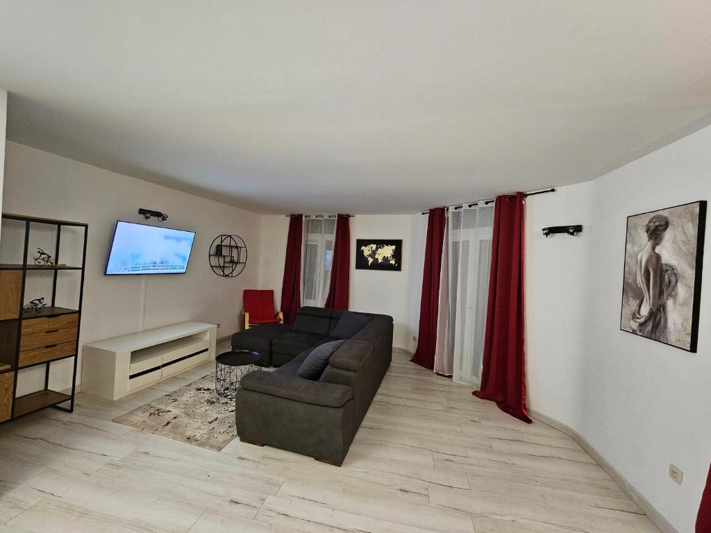 Grand Appartement cosy et lumineux photo 3