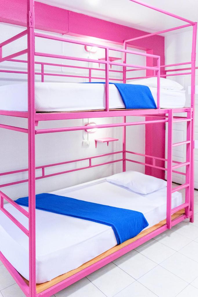 Slumber Party Chiang Mai Room Type - Bed in 4-Bed Female Dormitory Room