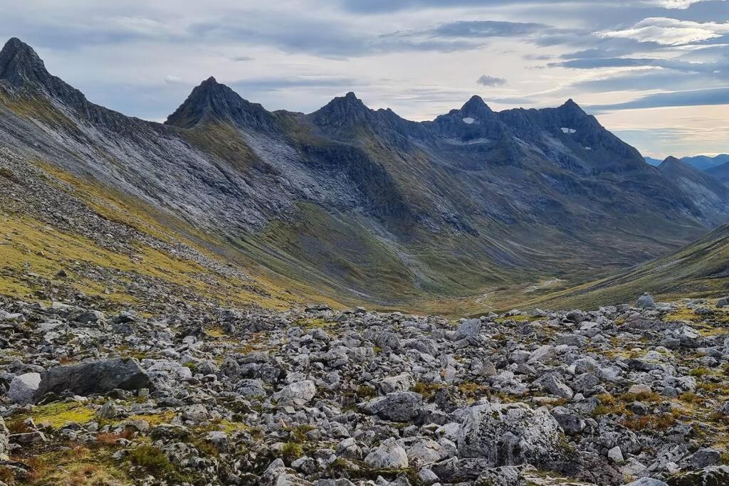 Rekkedal Gjestehus , Sæbø photo 1