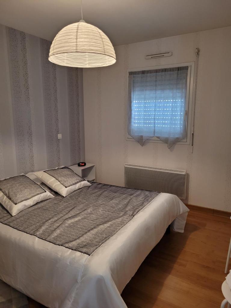 appartement au calme photo 4