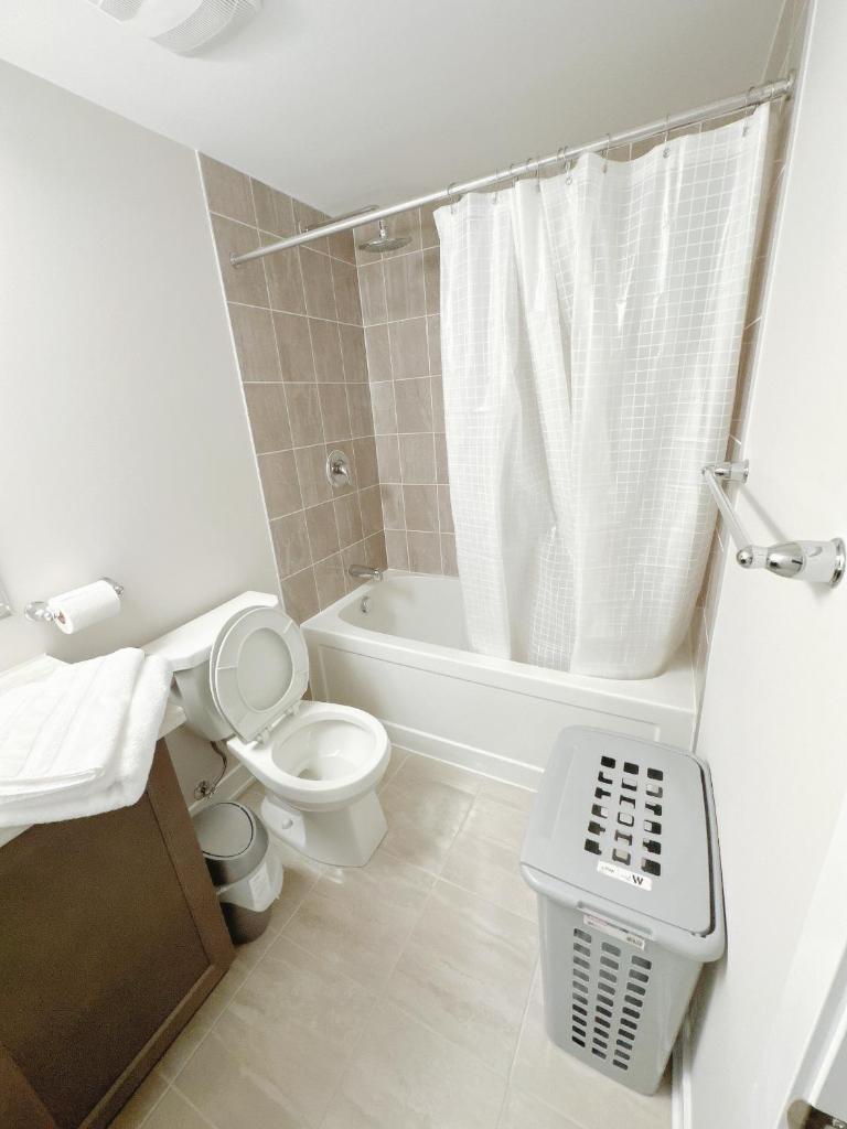 Beautiful entire basement with Netflix photo 4