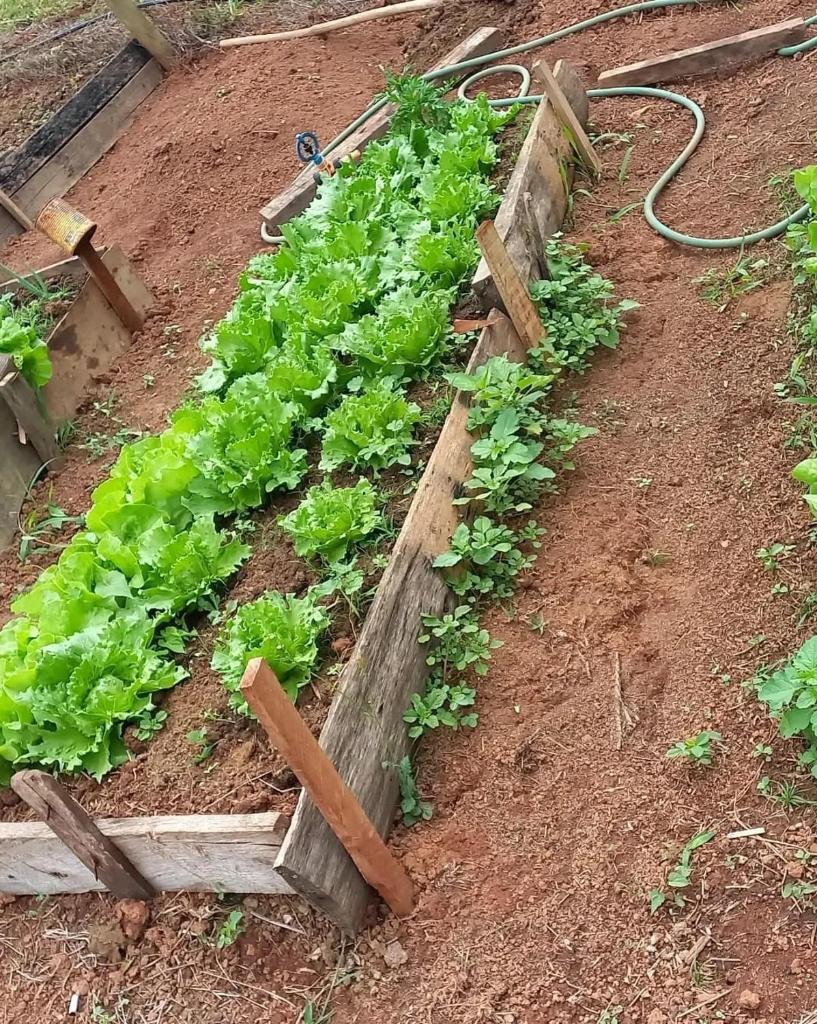 Pousada Recanto das Hortênsias photo 3