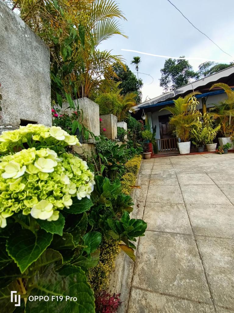 Residence green view