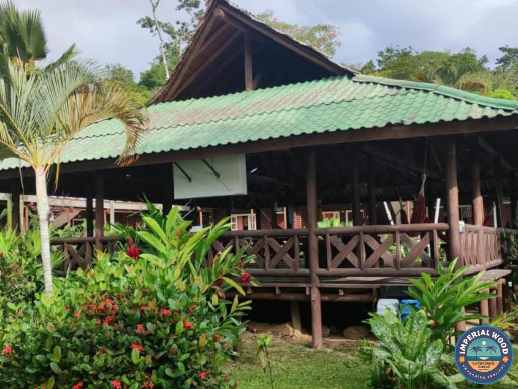 HOTEL IMPERIAL WOOD photo 4