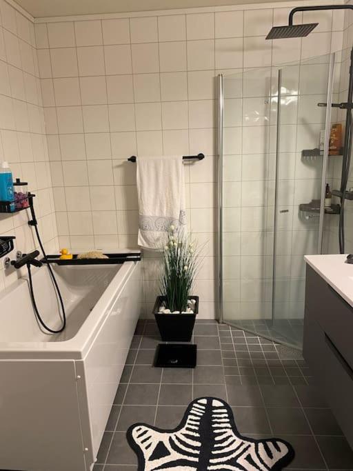 Charming apartment in Meråker photo 4