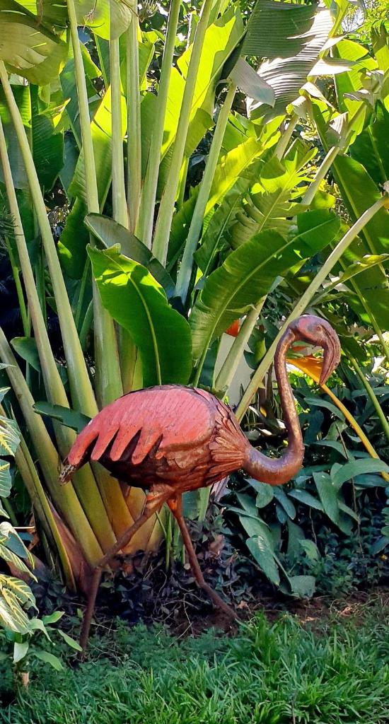 Flamingo résidence photo 4