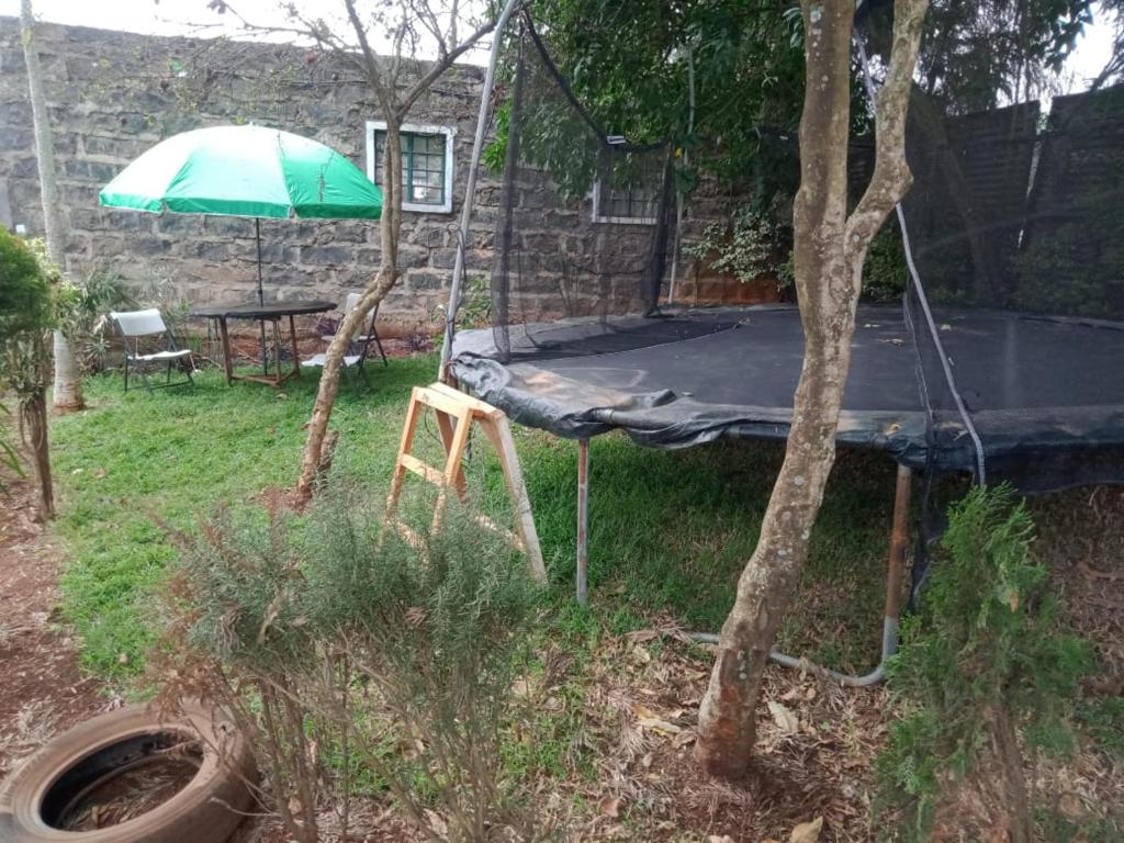 Quiet Place photo 2