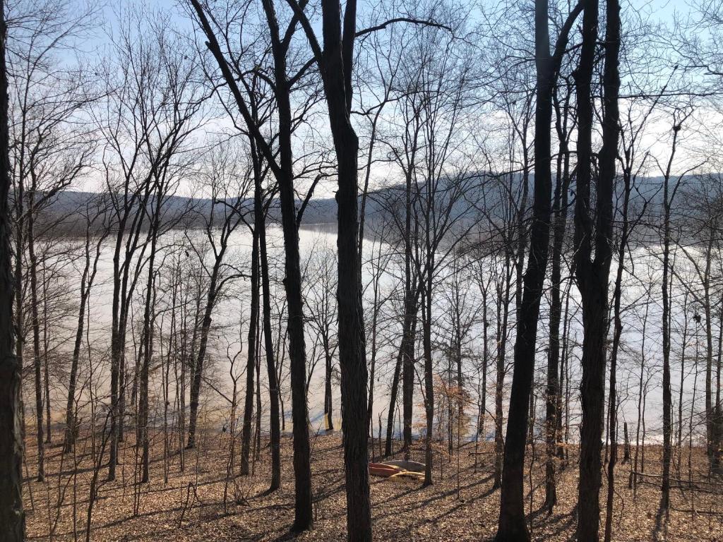 Serene Lakeside Forest Cabin photo 1