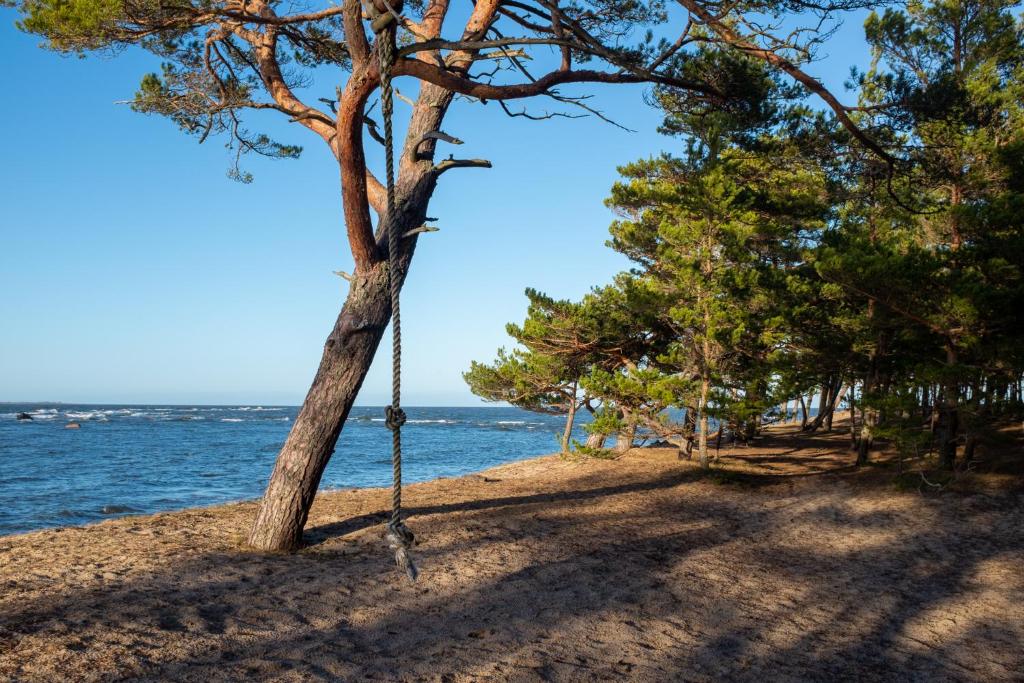 Rooslepa seaside getaway photo 2