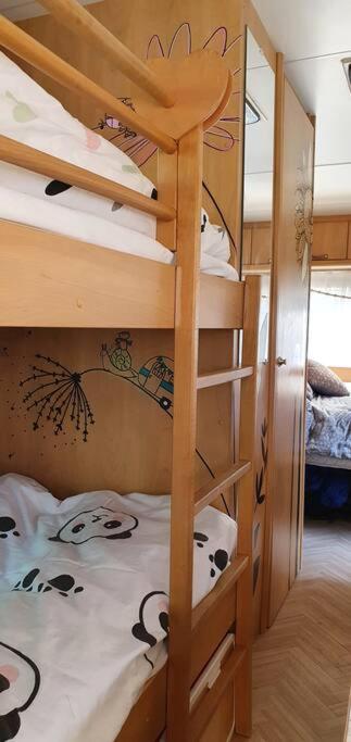 insolite: la p'tite maison à roulettes photo 2