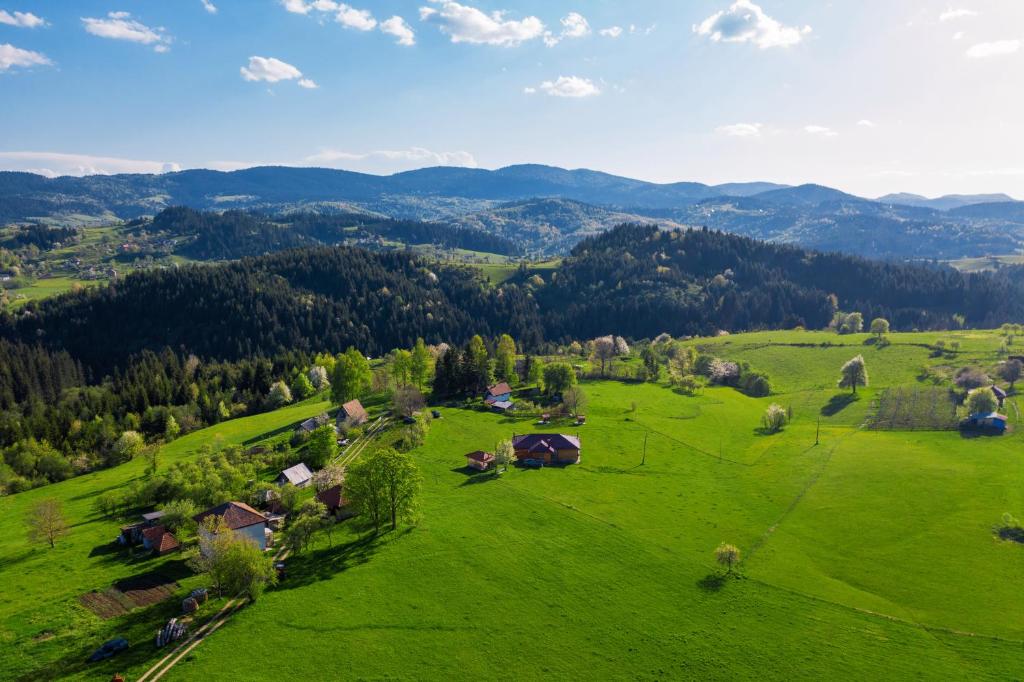 Aronija Zlatar photo 1