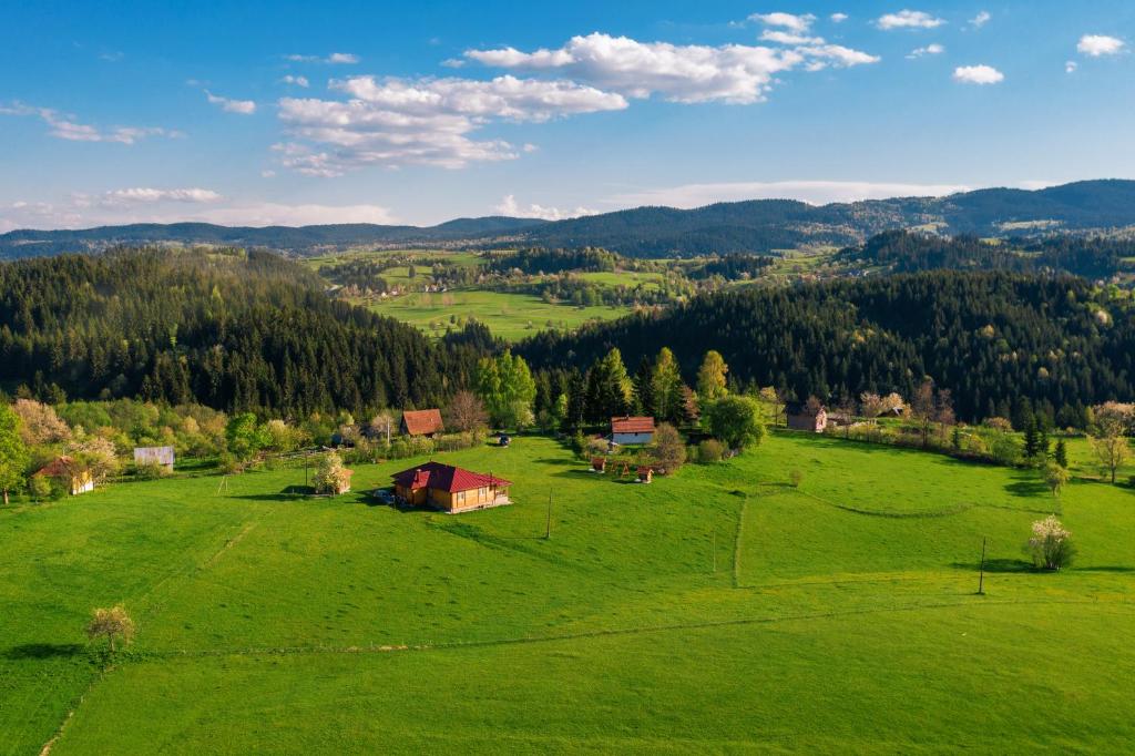 Aronija Zlatar photo 2