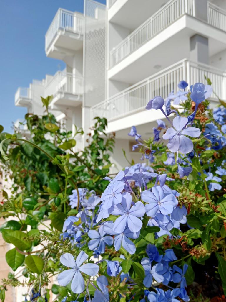 COLOR DREAM RESIDENCE Case Vacanza Monopoli photo 4