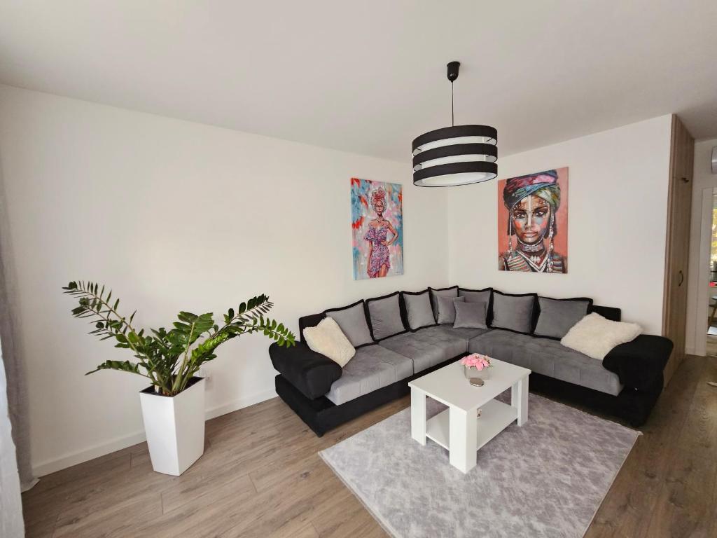 Apartman Aleksandra u strogom centru grada photo 4