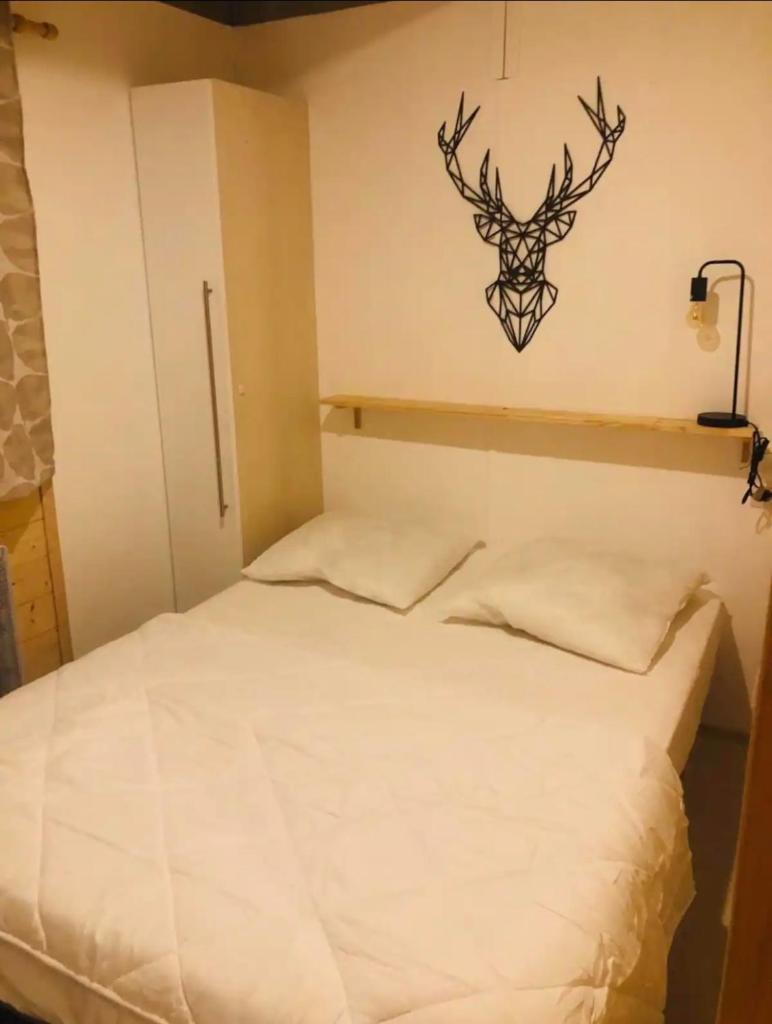 Chalet 77 proche S Besse photo 4
