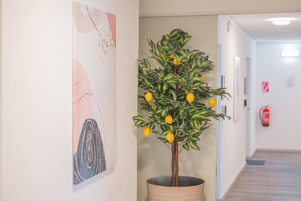 BH01 Arbeiter Unterkunft für 10 Personen - 5 Doppelzimmer und vollausgestattete Küche photo 4