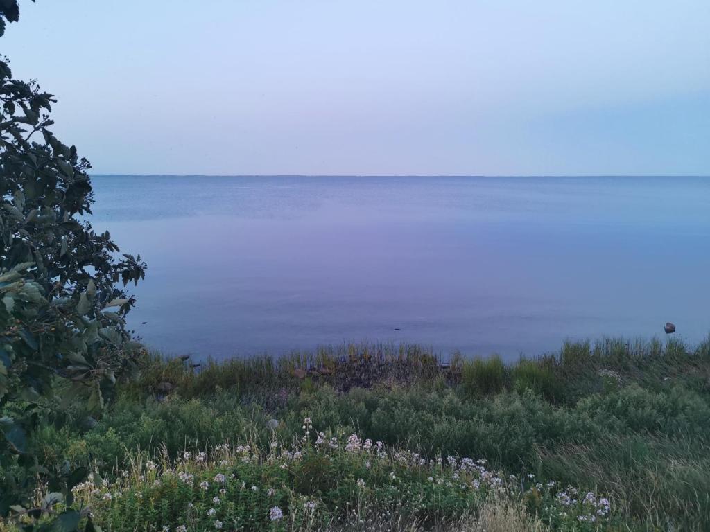 Hus nära havet photo 4
