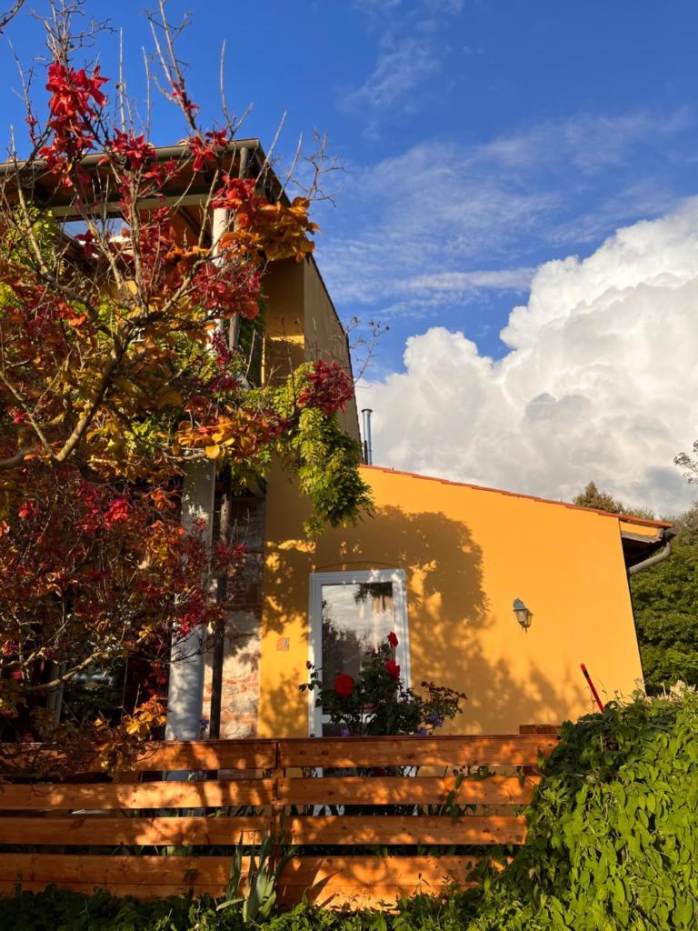 La Fucinaia Pet Friendly B&B photo 4