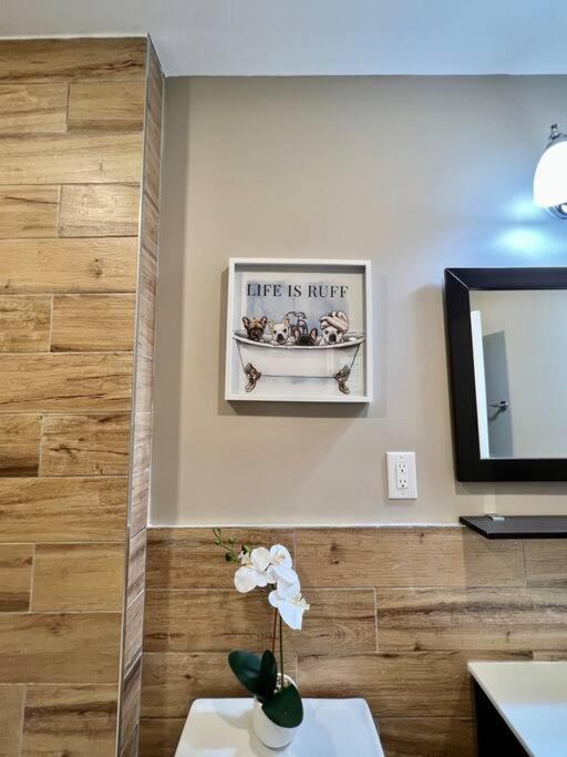 405 Spacious and superior 1BDR APT in center city photo 3