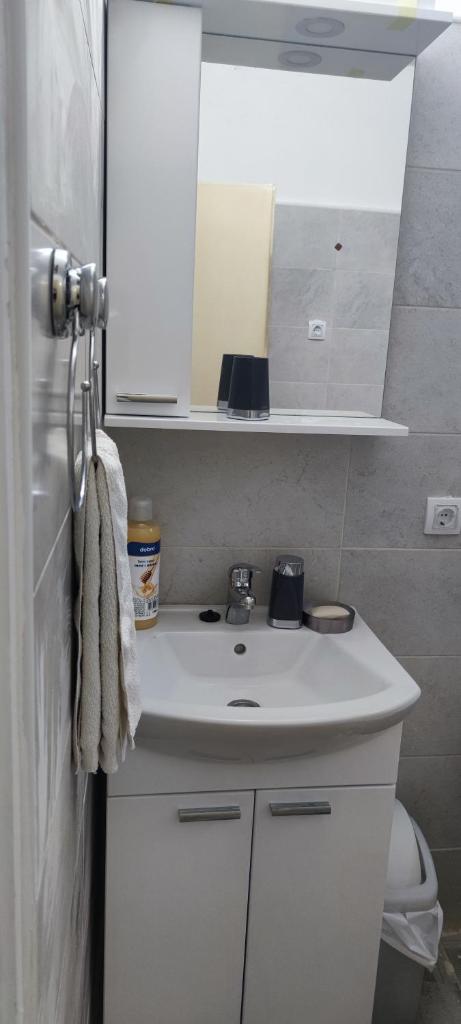 Stan na dan ili vikend Guča photo 2