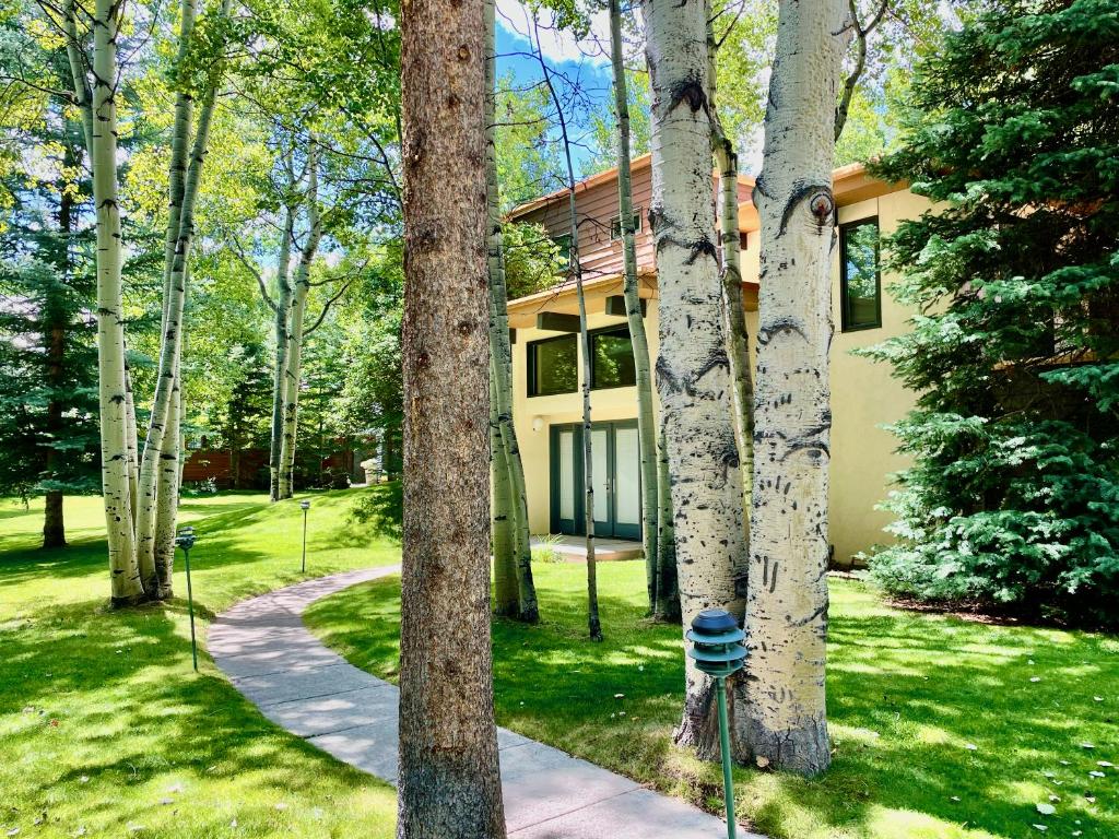 Aspen West End Sanctuary 4878 sf. photo 4