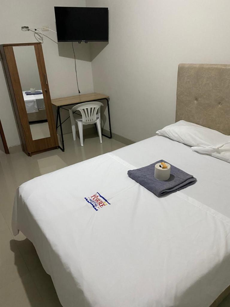 LATORRE HOSTAL photo 2