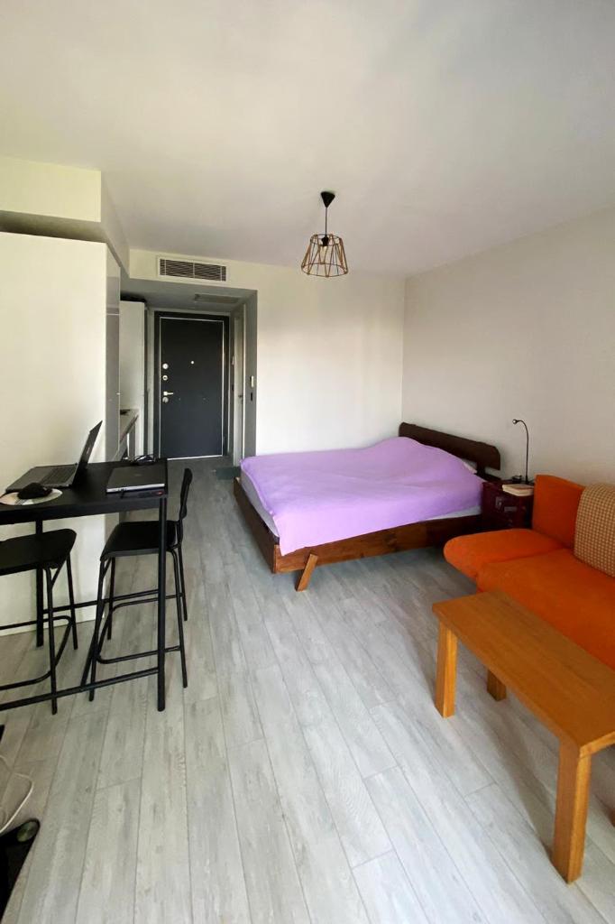 Fully Furnished Residential Flat photo 1