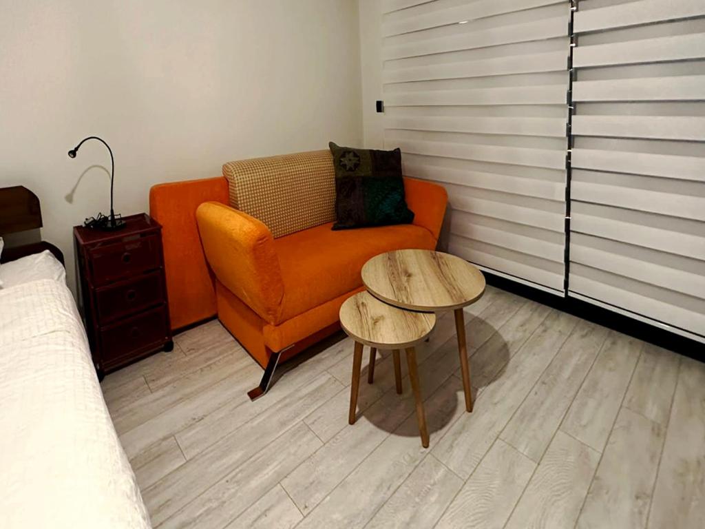 Fully Furnished Residential Flat photo 2