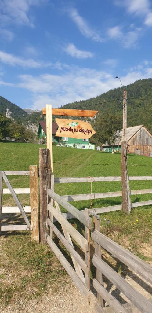 Casa Muchia lui Gîrniță photo 1