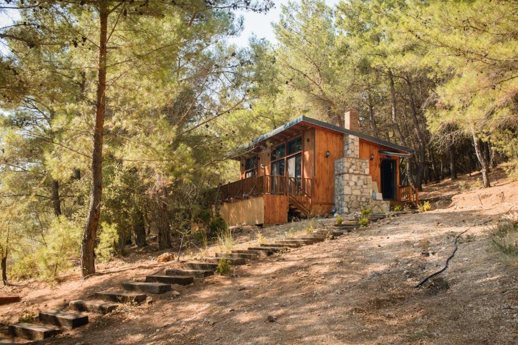 Panurla Ormanın İçinde, yüzme havuz&sauna photo 1