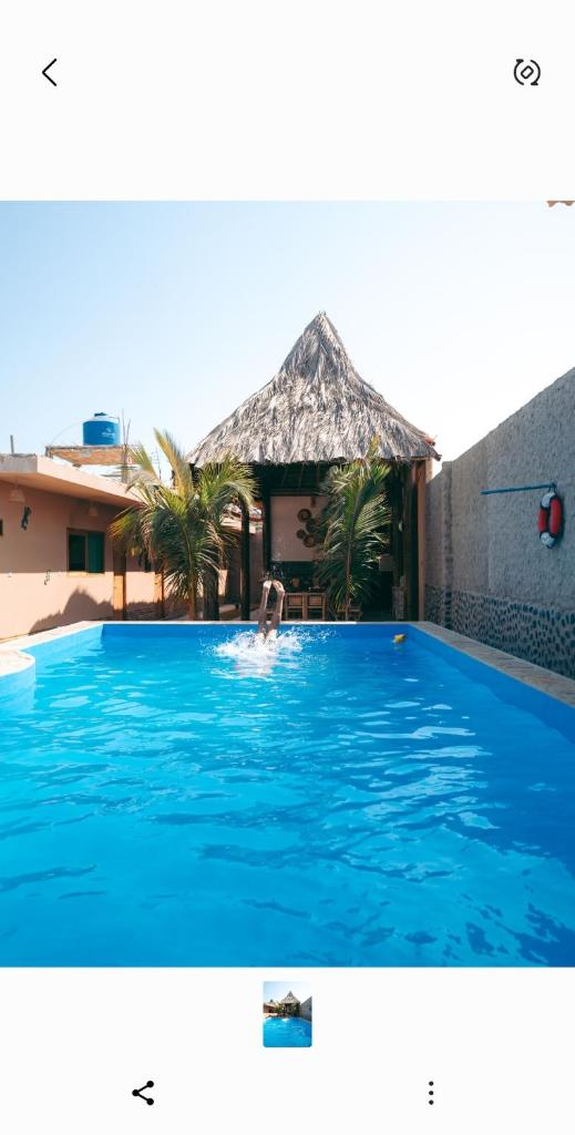 IGUANA HOUSE photo 4