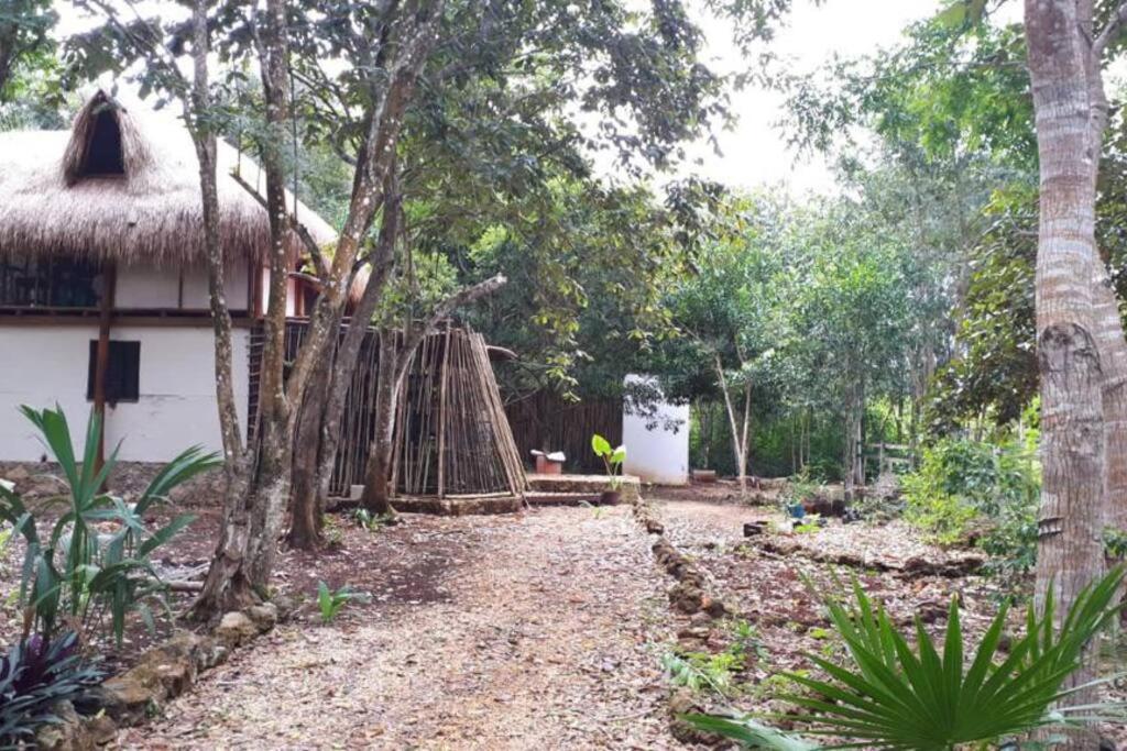 Agua y Candela Bacalar photo 4