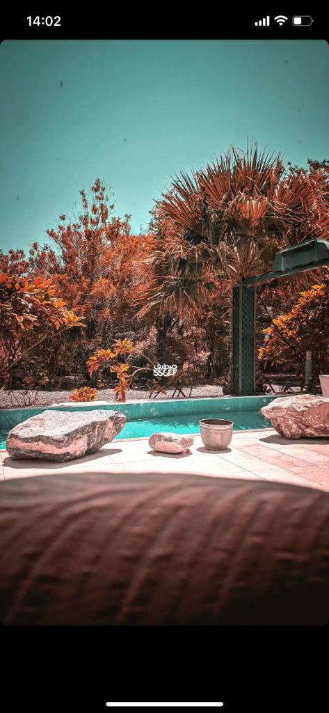 استراحة الرياحين photo 2