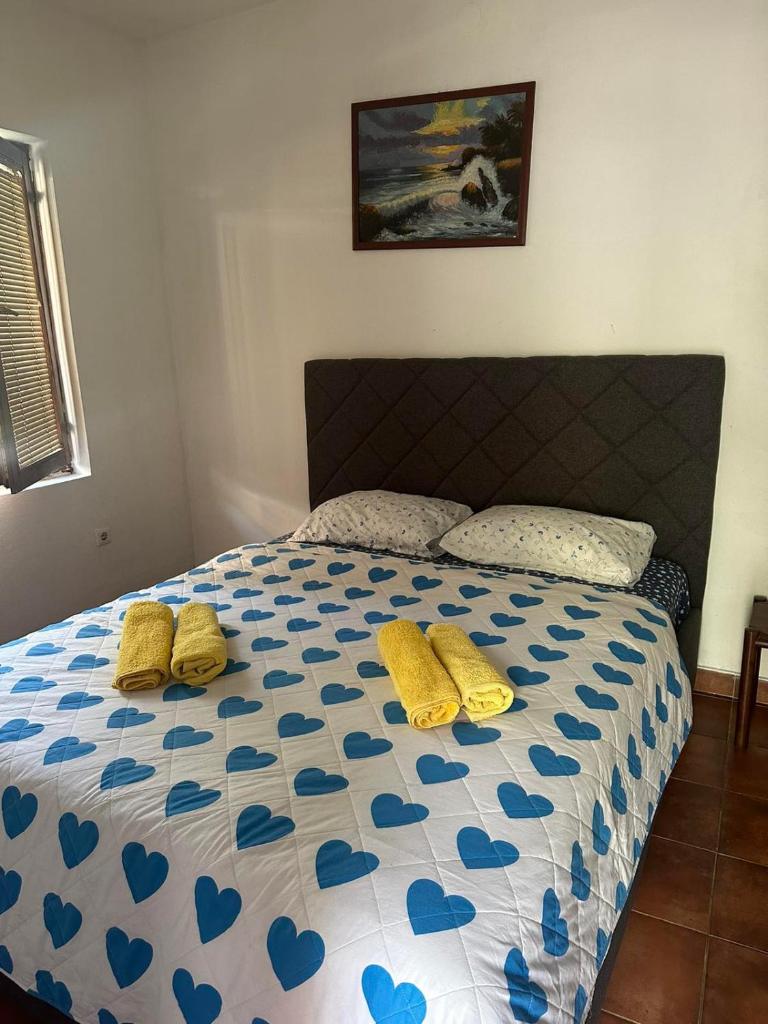 Apartmani Zelenika photo 2