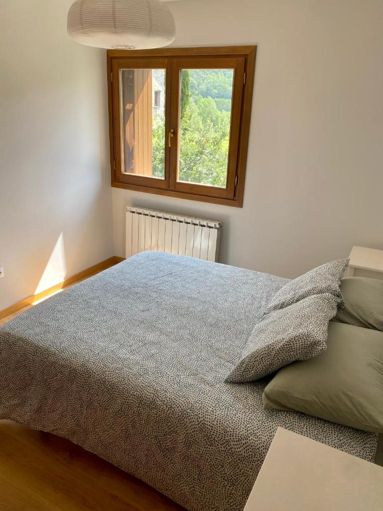 Apartamento Balcón del Ésera photo 2