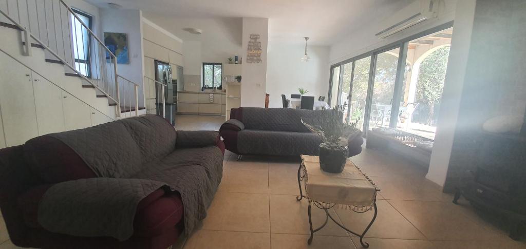 פנינה בראש פינה photo 4