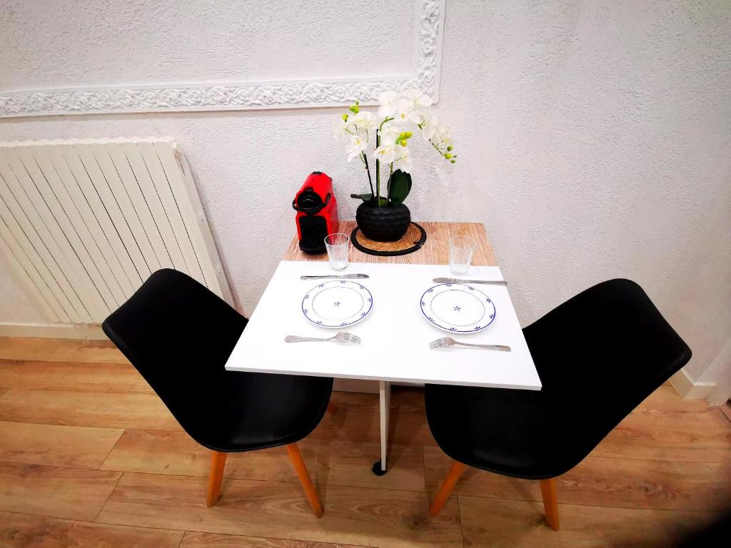 Porte de Genève, bel appartement photo 4
