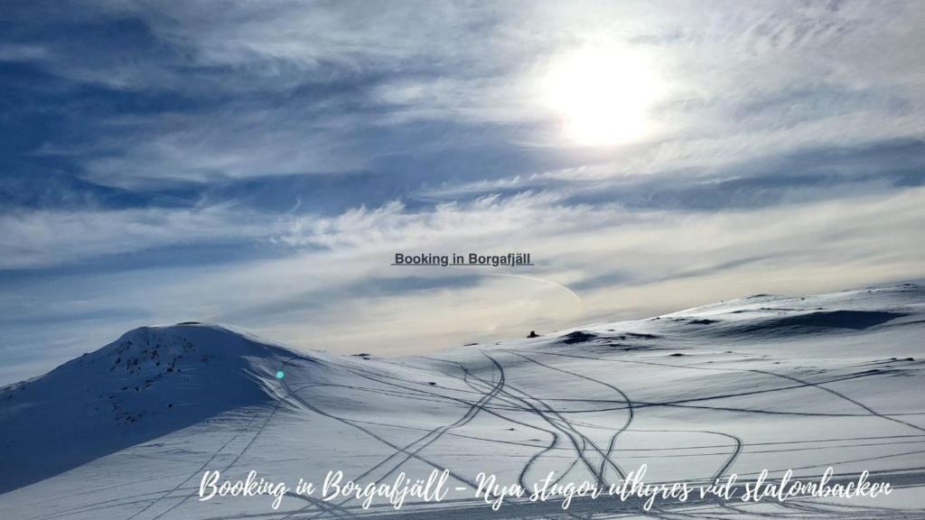 Book in Borgafjäll - New cabins for rent at the slalom slope photo 4