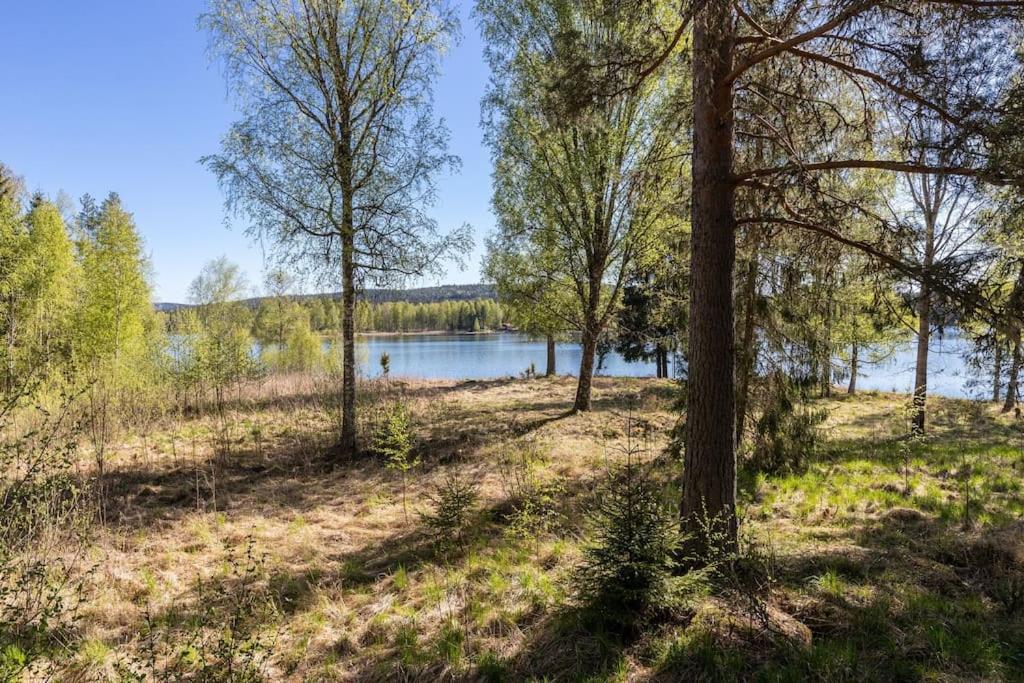 Cozy cottage by the lake, Charlottenberg photo 1
