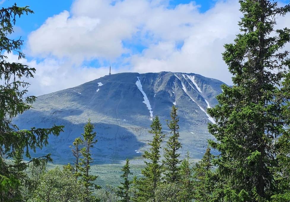 Ny leilighet med flott utsikt til Gaustatoppen photo 1