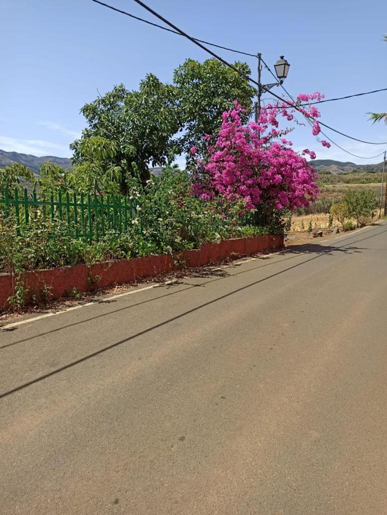Mar de flores photo 2