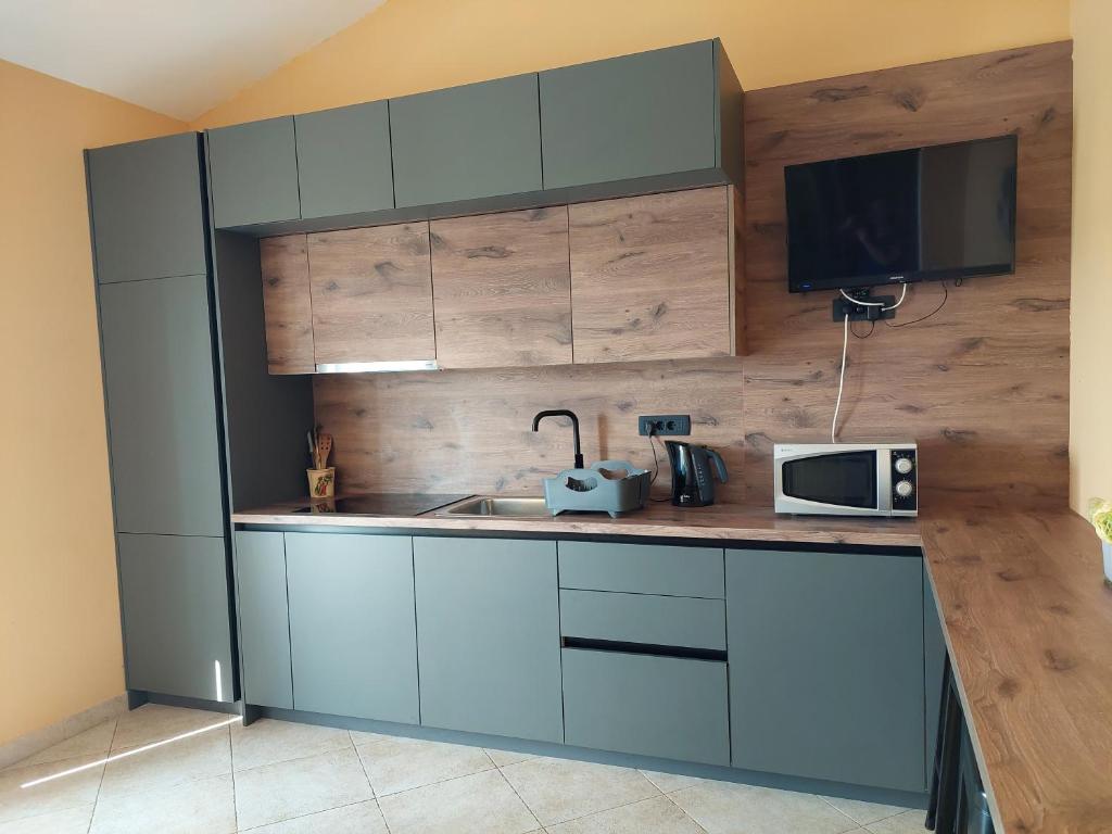Apartments Vesna photo 2