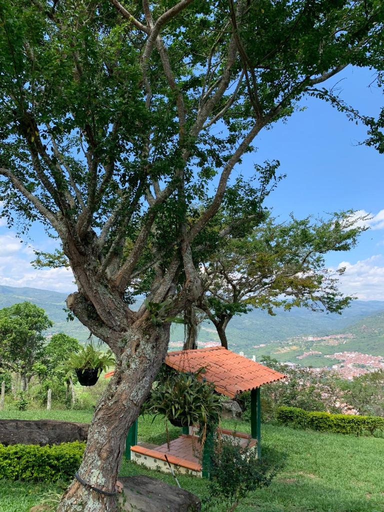 Villa tolu photo 4