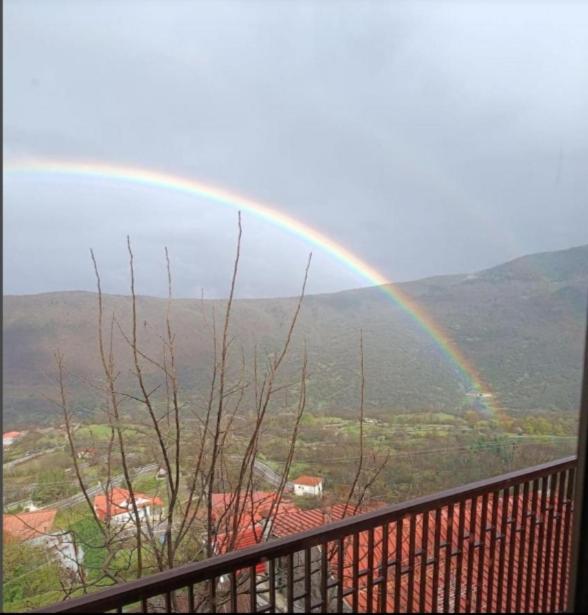 Άγρια Λούλουδα Κατοικία Ευτυχία photo 1