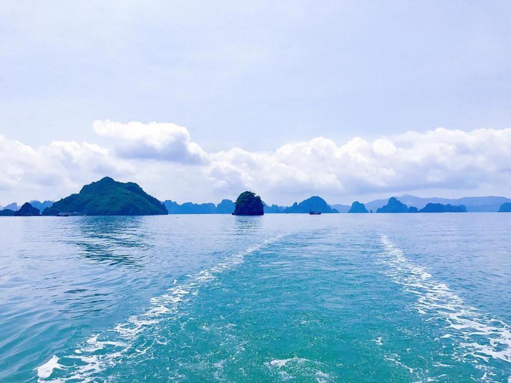 Halong Bay Full Day Cruise Kayaking, Swimming, Hiking:ALL INCLUDE