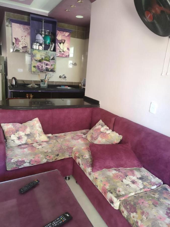 شقة بكفر الشيخ photo 4