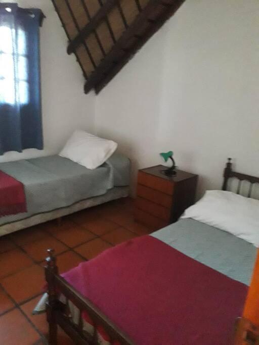 Lo dé Rocio photo 2