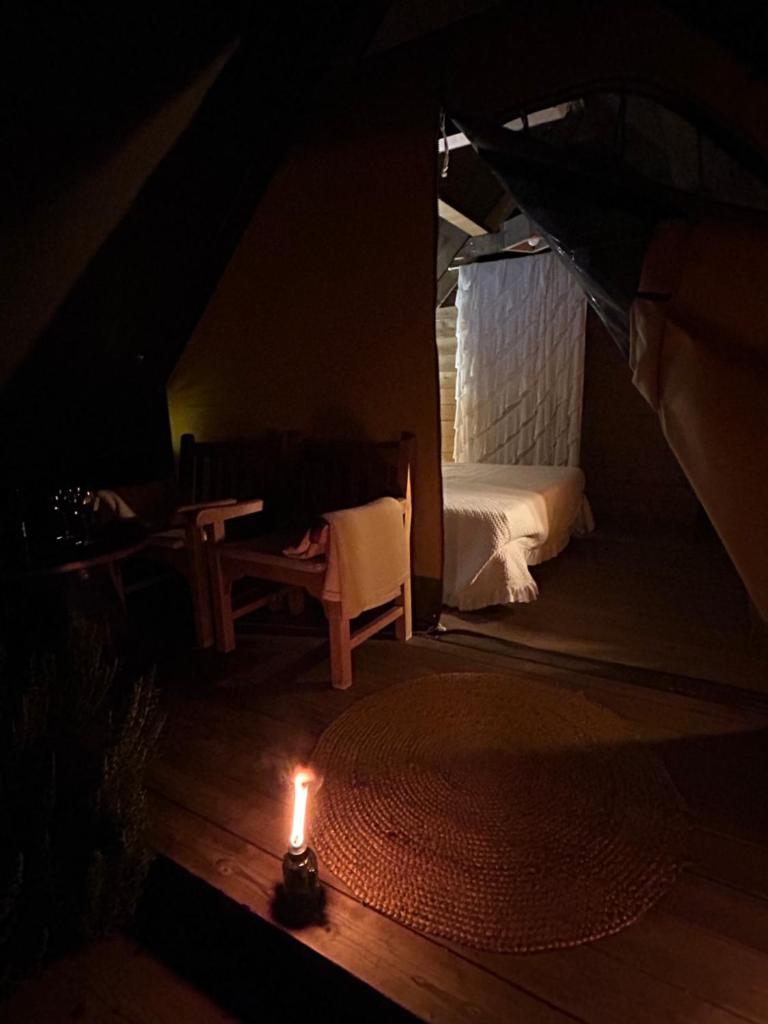 GLAMPING SUITE IL GRILLO photo 4