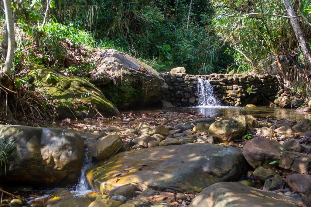 Casa Ananda Retreat photo 4